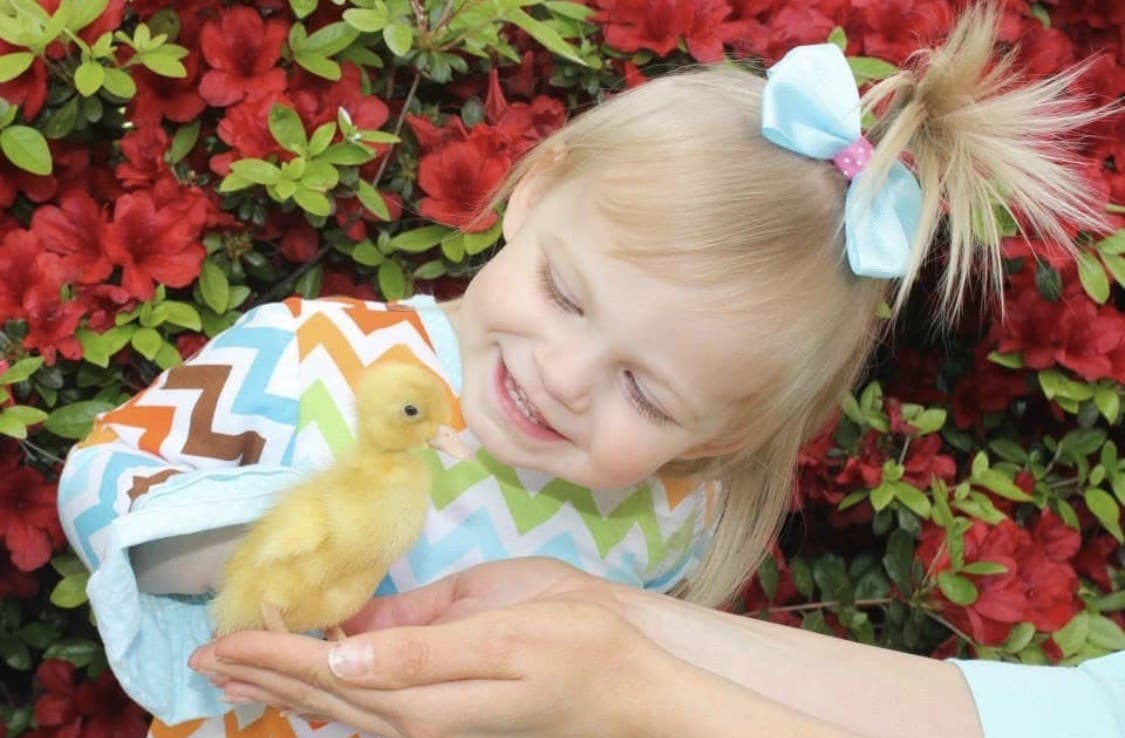 A child holding a small chick during a family session